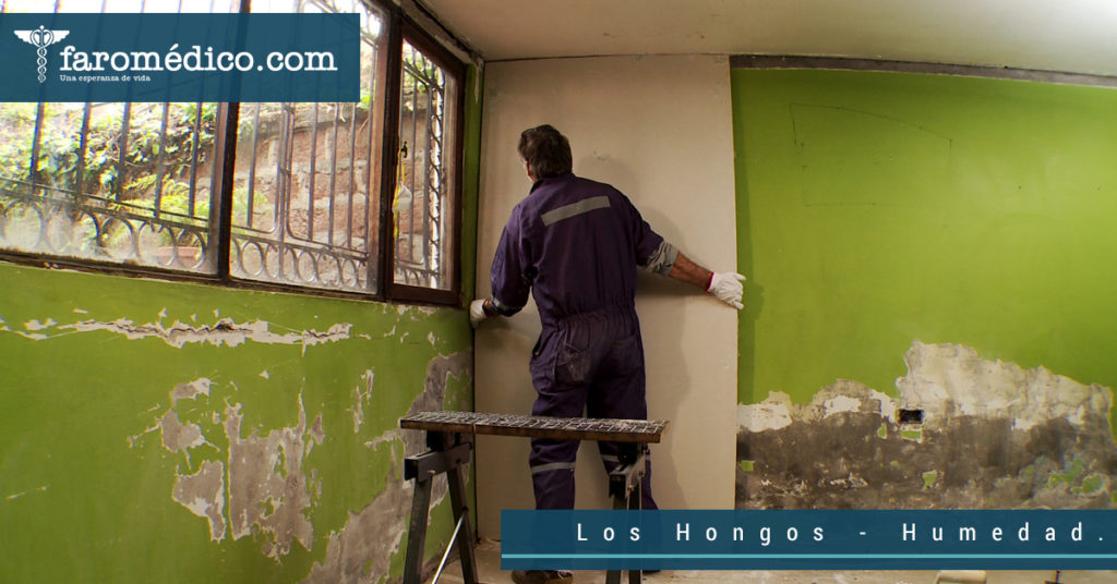 Los Hongos – Tercera parte – La Humedad